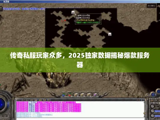 传奇私服玩家众多，2025独家数据揭秘爆款服务器