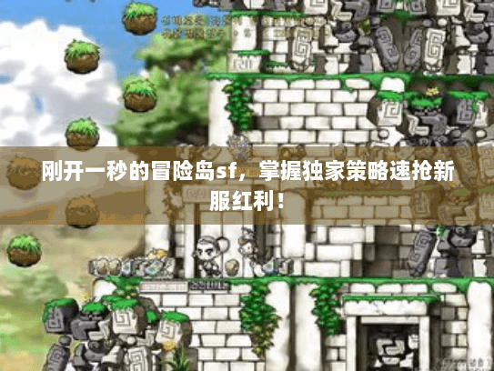 刚开一秒的冒险岛sf，掌握独家策略速抢新服红利！
