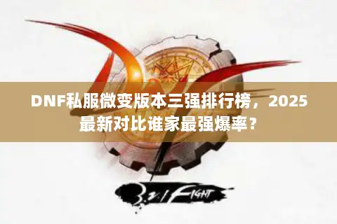 DNF私服微变版本三强排行榜，2025最新对比谁家最强爆率？