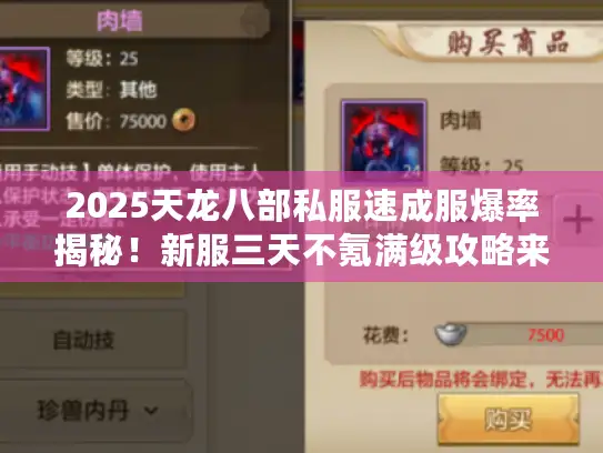 2025天龙八部私服速成服爆率揭秘！新服三天不氪满级攻略来袭