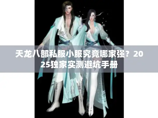 天龙八部私服小服究竟哪家强？2025独家实测避坑手册