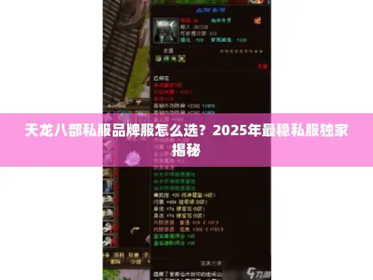 天龙八部私服品牌服怎么选？2025年最稳私服独家揭秘