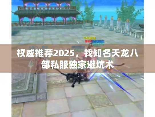 权威推荐2025，找知名天龙八部私服独家避坑术