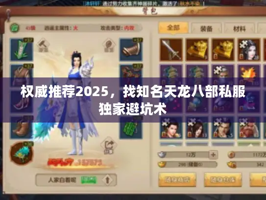 权威推荐2025，找知名天龙八部私服独家避坑术