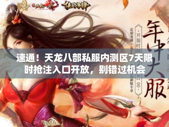 速通！天龙八部私服内测区7天限时抢注入口开放，别错过机会