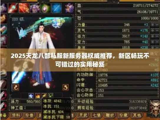 2025天龙八部私服新服务器权威推荐，新区畅玩不可错过的实用秘笈