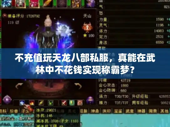 不充值玩天龙八部私服，真能在武林中不花钱实现称霸梦？