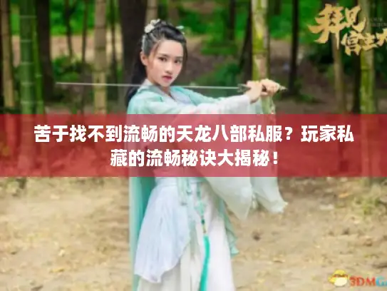 苦于找不到流畅的天龙八部私服？玩家私藏的流畅秘诀大揭秘！