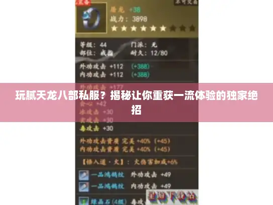 玩腻天龙八部私服？揭秘让你重获一流体验的独家绝招