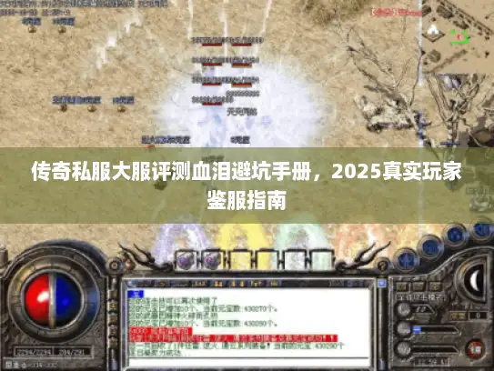 传奇私服大服评测血泪避坑手册，2025真实玩家鉴服指南