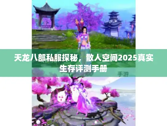 天龙八部私服探秘，散人空间2025真实生存评测手册