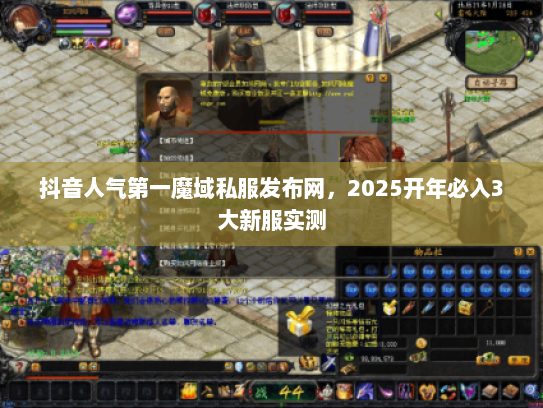 抖音人气第一魔域私服发布网，2025开年必入3大新服实测