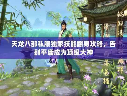 天龙八部私服独家技能翻身攻略，告别平庸成为顶级大神