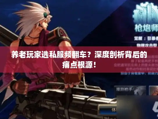 养老玩家选私服频翻车？深度剖析背后的痛点根源！