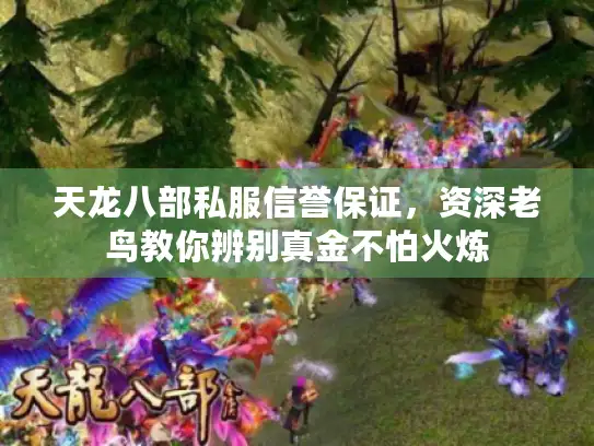 天龙八部私服信誉保证，资深老鸟教你辨别真金不怕火炼