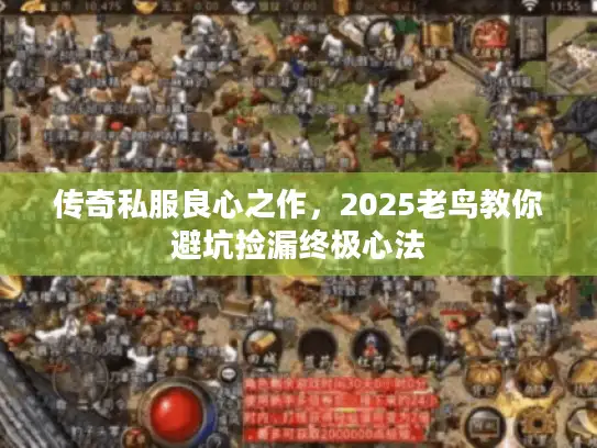 传奇私服良心之作，2025老鸟教你避坑捡漏终极心法