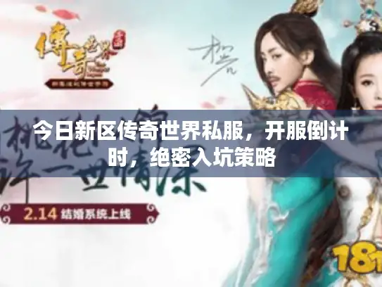 今日新区传奇世界私服，开服倒计时，绝密入坑策略