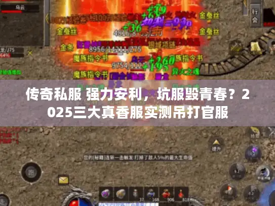 传奇私服 强力安利，坑服毁青春？2025三大真香服实测吊打官服