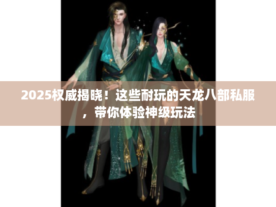 2025权威揭晓！这些耐玩的天龙八部私服，带你体验神级玩法