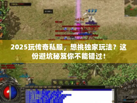 2025玩传奇私服，想挑独家玩法？这份避坑秘笈你不能错过！