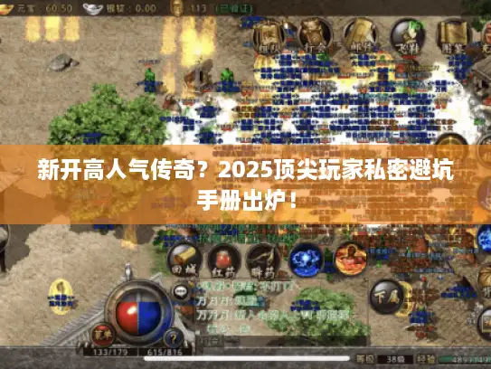 新开高人气传奇？2025顶尖玩家私密避坑手册出炉！