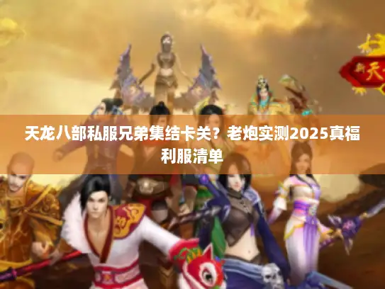 天龙八部私服兄弟集结卡关？老炮实测2025真福利服清单