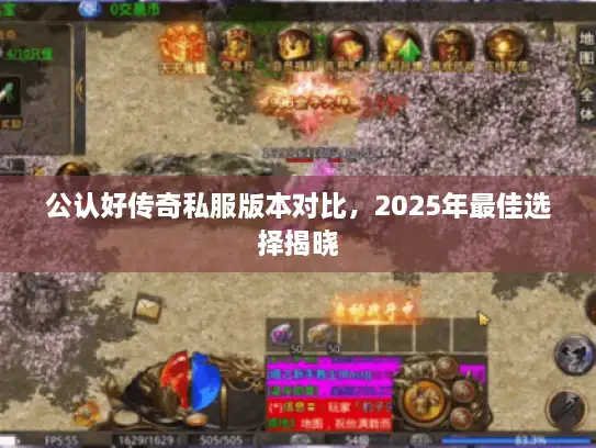 公认好传奇私服版本对比，2025年最佳选择揭晓