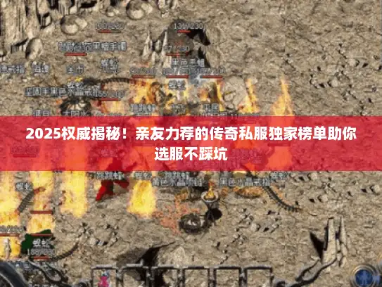 2025权威揭秘！亲友力荐的传奇私服独家榜单助你选服不踩坑