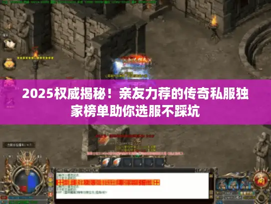 2025权威揭秘！亲友力荐的传奇私服独家榜单助你选服不踩坑