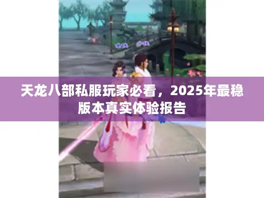 天龙八部私服玩家必看，2025年最稳版本真实体验报告