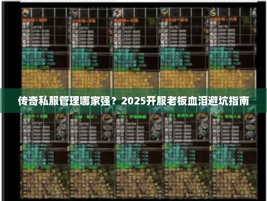 传奇私服管理哪家强？2025开服老板血泪避坑指南