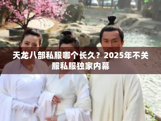 天龙八部私服哪个长久?2025年不关服私服独家内幕 天龙八部私服哪个长久?2025年不关服私服独家内幕