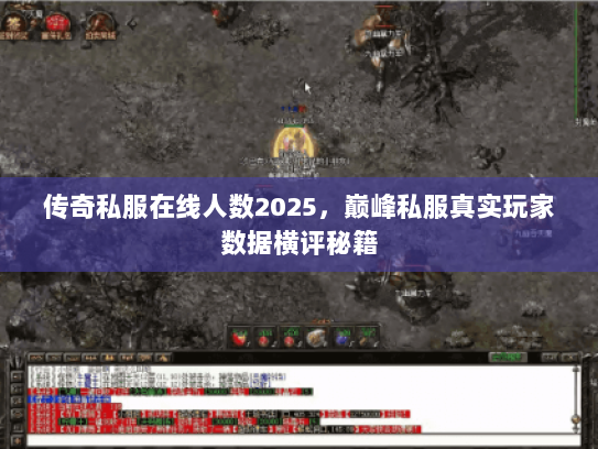 传奇私服在线人数2025，巅峰私服真实玩家数据横评秘籍
