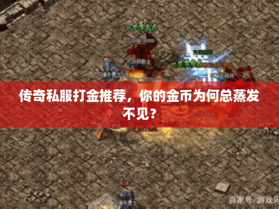 传奇私服打金推荐，你的金币为何总蒸发不见？