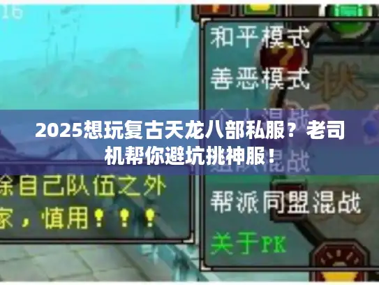 2025想玩复古天龙八部私服？老司机帮你避坑挑神服！
