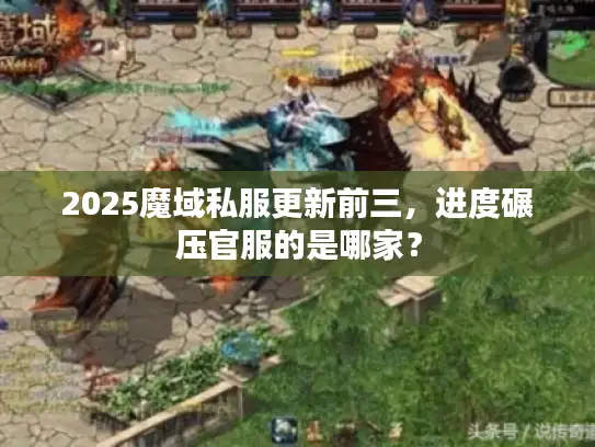 2025魔域私服更新前三,进度碾压官服的是哪家? 2025魔域私服更新前三,进度碾压官服的是哪家?