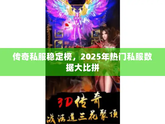 传奇私服稳定榜,2025年热门私服数据大比拼 传奇私服稳定榜,2025年热门私服数据大比拼