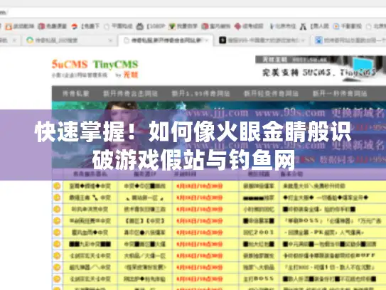 快速掌握！如何像火眼金睛般识破游戏假站与钓鱼网