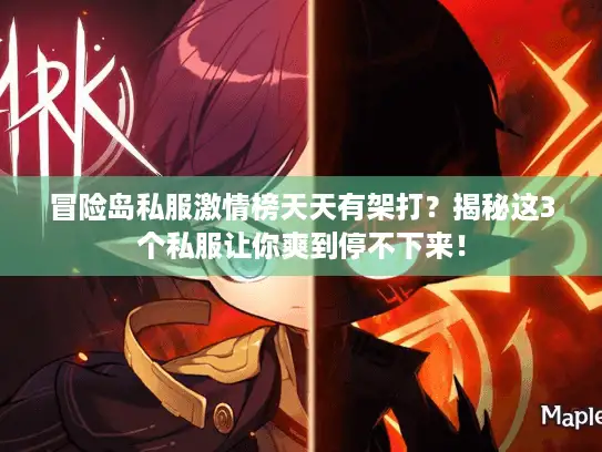 冒险岛私服激情榜天天有架打？揭秘这3个私服让你爽到停不下来！