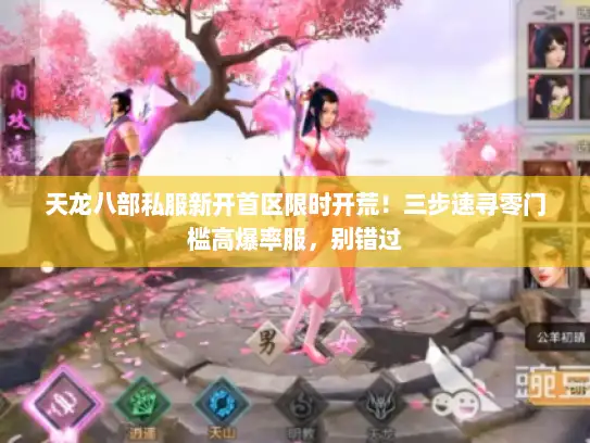 天龙八部私服新开首区限时开荒！三步速寻零门槛高爆率服，别错过