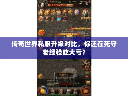 传奇世界私服升级对比，你还在死守老经验吃大亏？