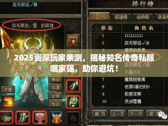 2025资深玩家亲测，揭秘知名传奇私服哪家强，助你避坑！