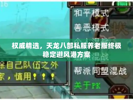 权威精选，天龙八部私服养老服终极稳定避风港方案