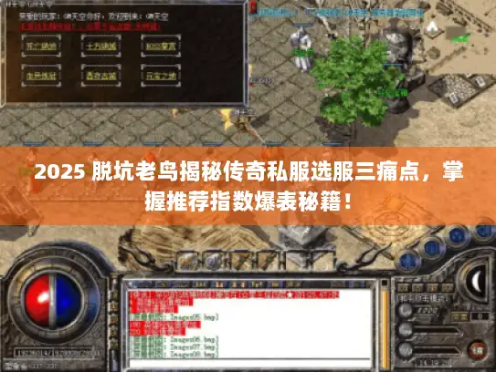 2025 脱坑老鸟揭秘传奇私服选服三痛点，掌握推荐指数爆表秘籍！