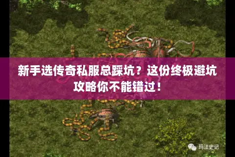 新手选传奇私服总踩坑？这份终极避坑攻略你不能错过！