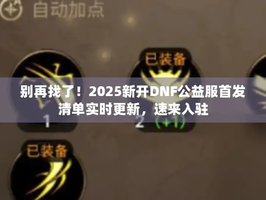 别再找了！2025新开DNF公益服首发清单实时更新，速来入驻