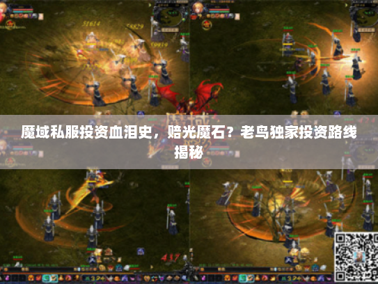 魔域私服投资血泪史，赔光魔石？老鸟独家投资路线揭秘