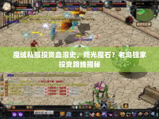 魔域私服投资血泪史，赔光魔石？老鸟独家投资路线揭秘