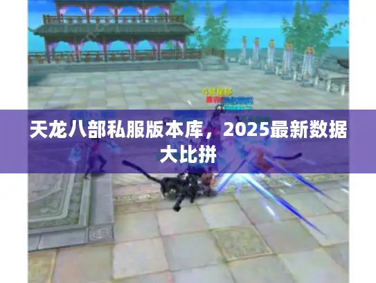 天龙八部私服版本库,2025最新数据大比拼 天龙八部私服版本库,2025最新数据大比拼