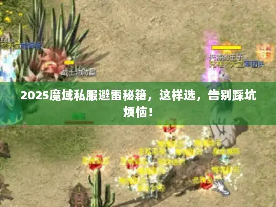 2025魔域私服避雷秘籍，这样选，告别踩坑烦恼！